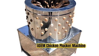 XDEM Commercial Chicken Plucker Machine 60 Barrel Stainless Steel Poultry Depilator for Chicken Duck