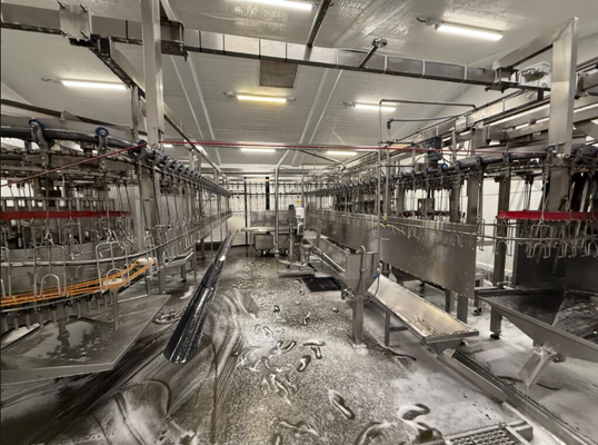 PLC Control Stainless Steel Semi-automatic Slaughtering Equipment for Pigs Cattle and Sheep