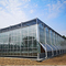 Prefabricated Light Steel Structure Agricultural Vegetable Greenhouse Q235 ISO9001