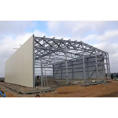 XDEM Light Prefabricated Steel Structure Warehouse Production Workshop Chicken Sheds Maker