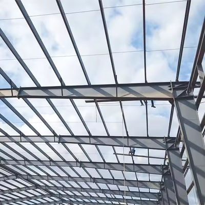 XDEM Prefabricated Light Steel Structure Storage Warehouse Buildings Workshop Villa Greenhouse