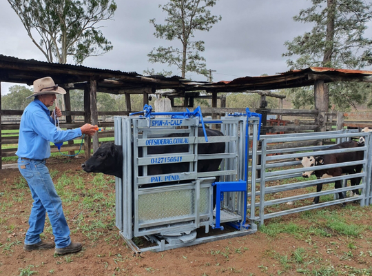 Livestock Equipment Powder Coated Corrosion Resistant Cattle Crush For Low Maintenance Animal Restraint Cow Chute For Farm Veterinary Use